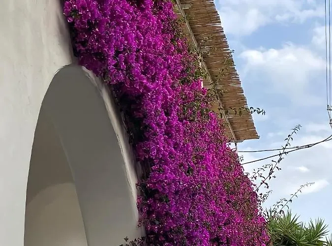 Roberhouse Tragara 37 *