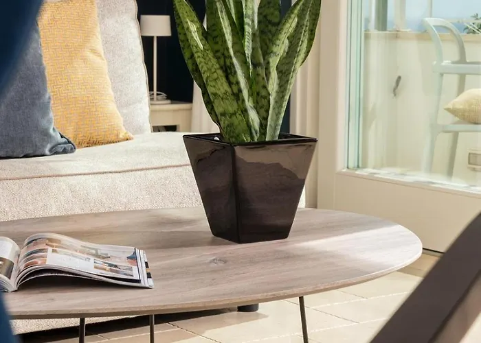 Roberhouse Tragara 37 * 卡普里